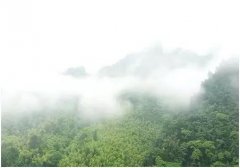 ���M��ɽ�����I�y���T��15��̤��y�^�������y�P